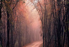 利物浦兵不血刃,轻松取胜迎来佳音