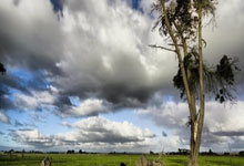 德国憾失四强，欧国联之路尽头