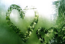 波特兰队高赞追逐者,冲击西部榜首地位