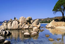 土耳其队获得重要胜利，成功晋级欧锦赛决赛